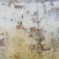 Maintaining Concrete: Protecting Against Corrosion