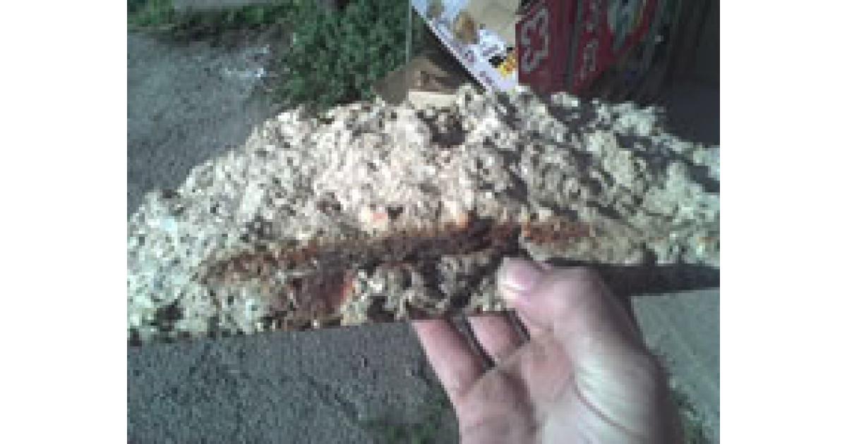 The Concrete Sky is Falling in Beirut